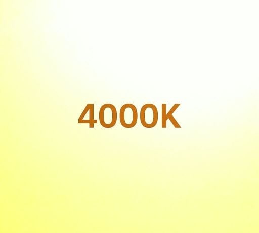 4000K Şerit Led